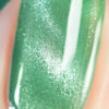 Jelly Green Polish