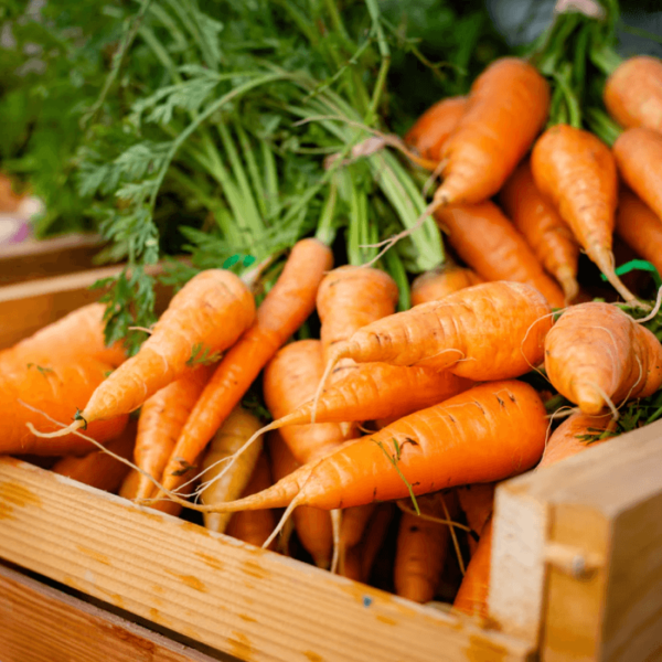 Organic Carrot